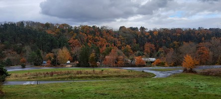 20211102 150944 petite